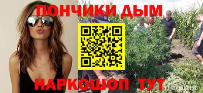 PSILOCYBIN Беслан
