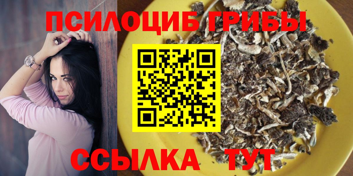 Галлюциногенные грибы Psilocybe Карталы